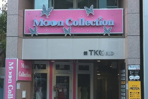 일본 Moon Collecti